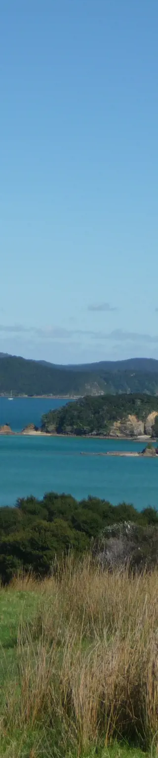 Bay of Islands